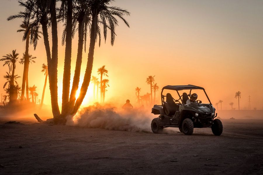Evening Desert Safari - Why You Should Try It